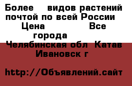 Более200 видов растений почтой по всей России › Цена ­ 100-500 - Все города  »    . Челябинская обл.,Катав-Ивановск г.